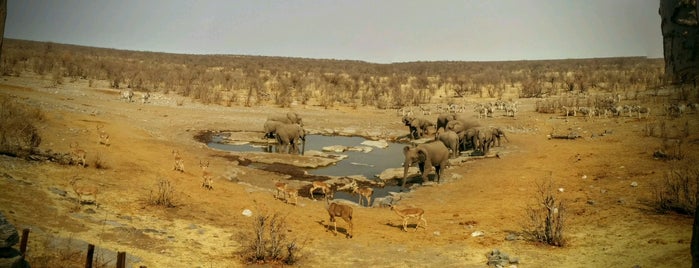 Moringa Waterhole Viewpoint is one of Lena's Saved Places.