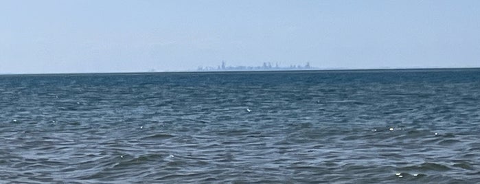 Porter Beach is one of chicity.