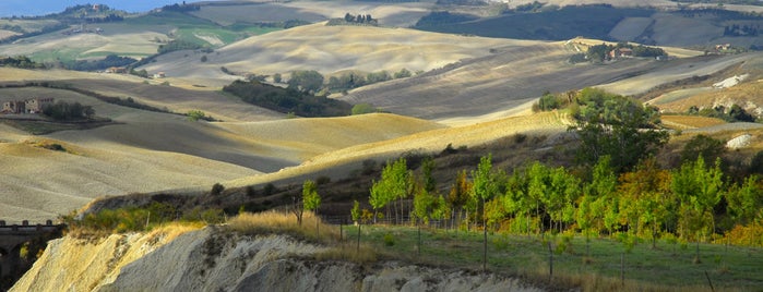 agriturismo aia vecchia di montalceto is one of Agriturismo Aia Vecchia di Montalceto.