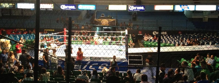 Arena Coliseo is one of GDL.