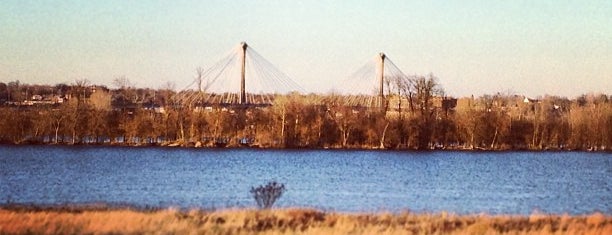 Riverlands Migratory Bird Sanctuary is one of Eagle Watching Hot Spots.