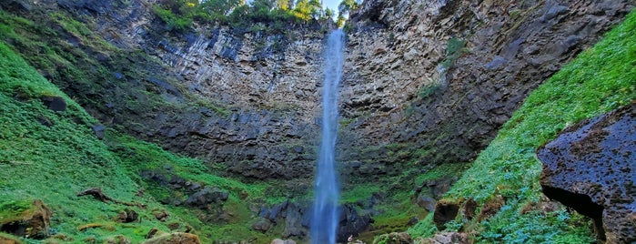 Watson Falls is one of Lieux sauvegardés par Ahmad🌵.