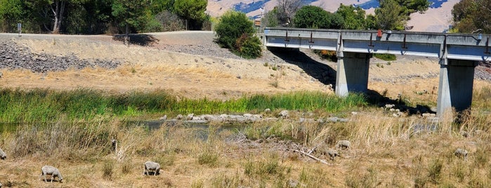 Sequoia Bridge To Quarry Lakes is one of South Bay.