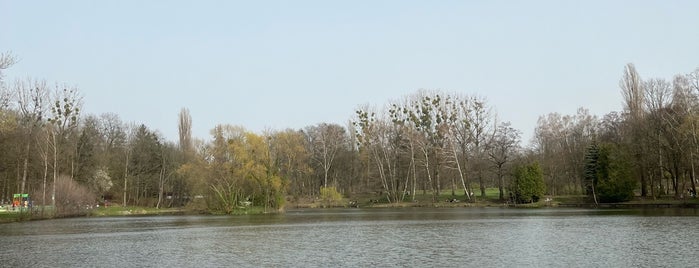 Park Zdrowie is one of Лодзь.