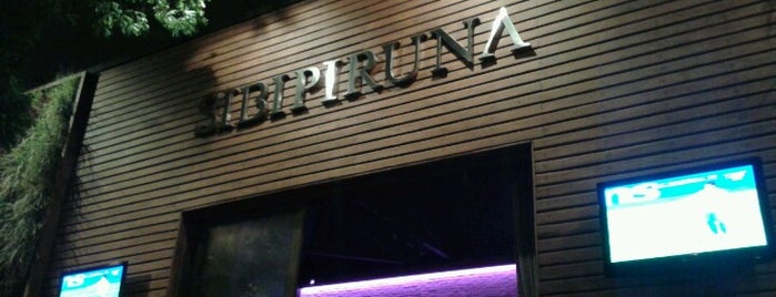 Sibipiruna Bar is one of Curtir com amigos!.