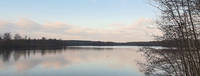 Heidesee is one of Bottrop.