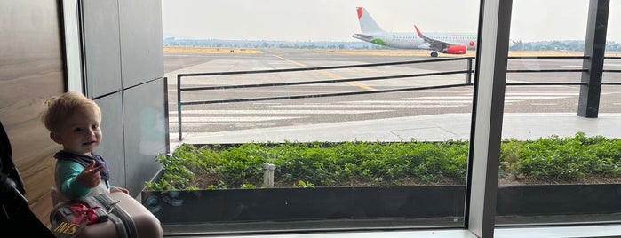 Aeropuerto Internacional General Francisco J. Mujica (MLM) is one of Recordar.