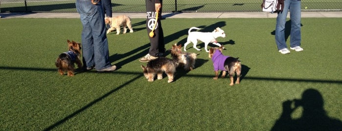 Foster City Dog Park is one of Lugares favoritos de Basy.