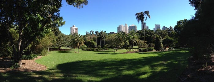 City Botanic Gardens is one of Brisbane's Best Photography Locations.