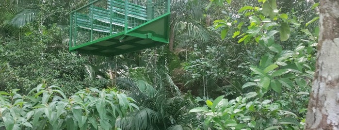 Panama Rainforest Discovery Center is one of Panama.