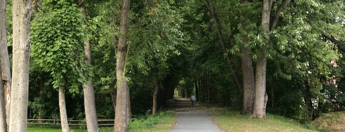 D&R Canal State Park is one of Locais curtidos por Lizzie.