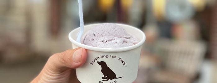 Brown Dog Ice Cream is one of The Eastern Shore.