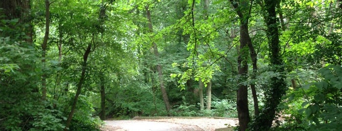 Willard Avenue Park is one of Lugares favoritos de Sam.