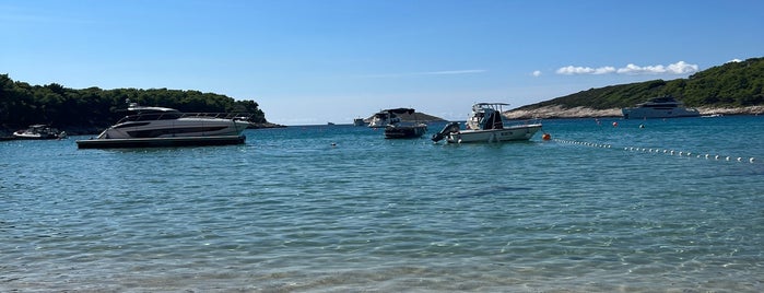 Palmižana Beach is one of Hvar.