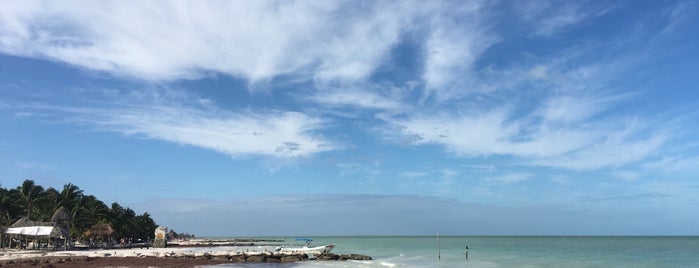 Playa Holbox is one of Lugares favoritos de Karla.