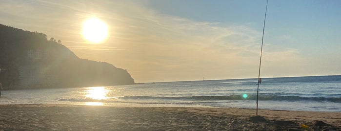 Playa de Bakio is one of Basque country.