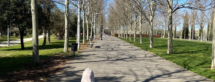 Parque Lineal del Manzanares is one of Madrid.