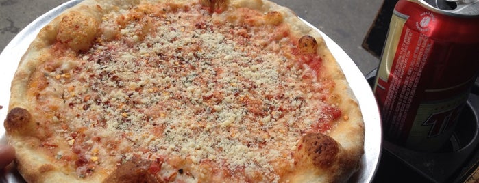 best pizza & chicken brooklyn ny