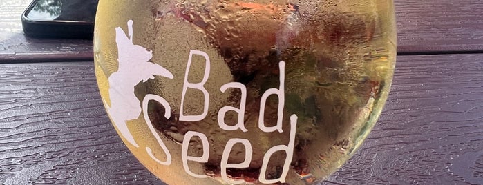 Bad Seed Cidery is one of My Side of the Mountain.