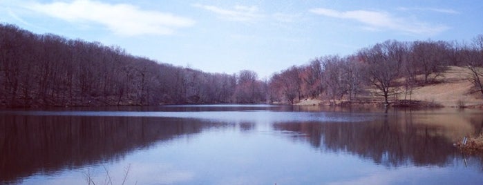 Rockefeller State Park Preserve is one of Adventures.