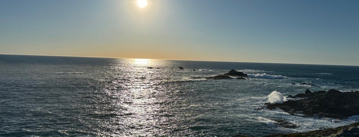 Sea Lion Point Trail is one of Los Angeles -> Hwy 1 -> San Fran 2019.