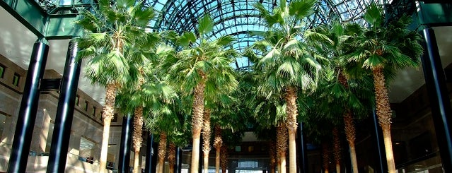 Winter Garden Atrium is one of Manhattan's Best Indoor Public Spaces.