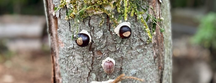 Lincoln Memorial Garden & Nature Center is one of Travel.