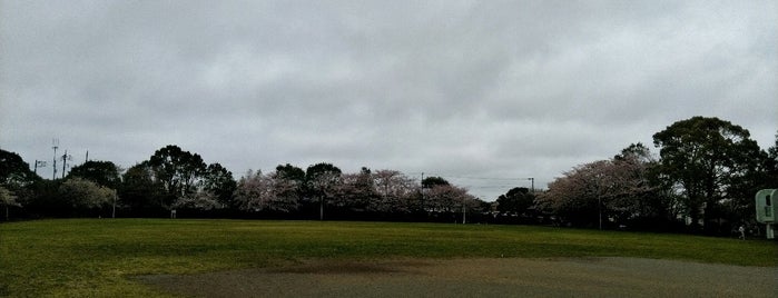 後谷津公園 is one of MK 님이 좋아한 장소.