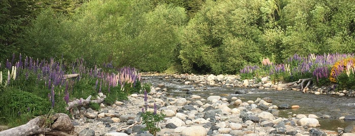 Rio Bonito is one of Maritoさんのお気に入りスポット.