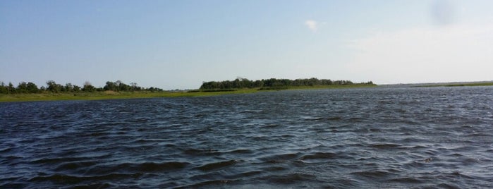 Bay County Park is one of Lawn guyland.