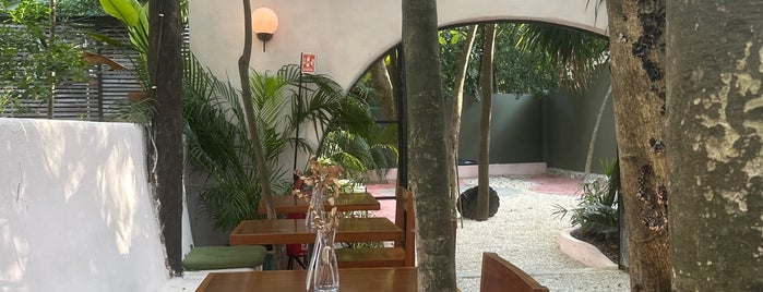 Arcana Restaurante is one of Nuevos lugares 2022.