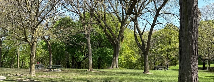 Wellesley Park is one of Canada.