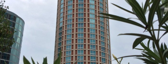 Millennium Hotel St. Louis is one of Tallest Buildings in St. Louis.