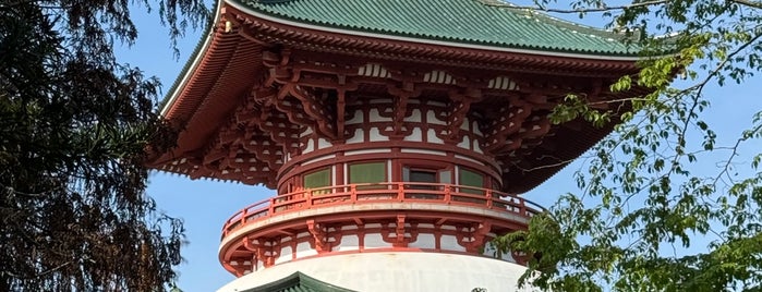 Great Peace Pagoda is one of 千葉に行ったらココに行く！ Vol.1.