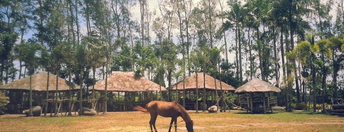Nature's Village Resort is one of Bacolod.