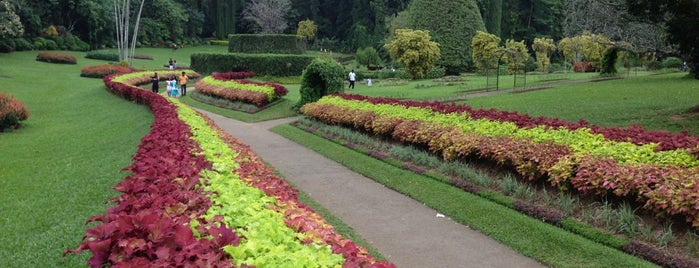 Royal Botanic Gardens is one of Sri-Lanka.