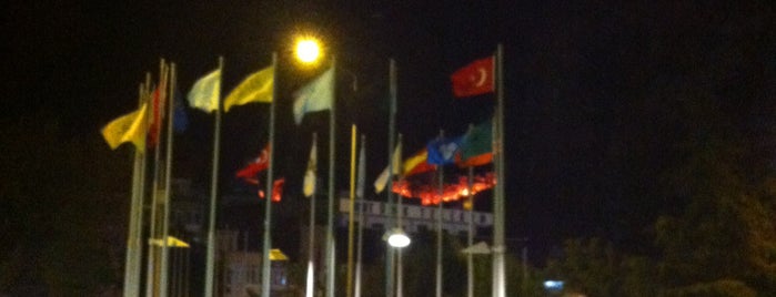 Anıt Meydanı is one of 19 Mayıs 2018.