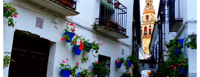 Calleja de las Flores is one of Monuments everywhere.