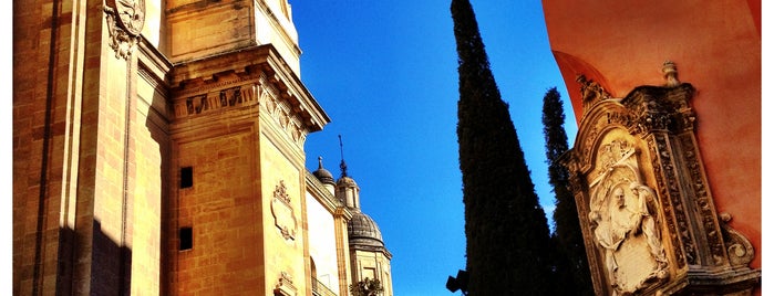 Catedral de Granada is one of Monuments everywhere.