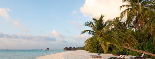 Medhufushi Island Resort is one of Maldives - The Sunny Side of Life.