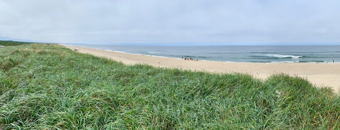 Oregon Dunes is one of Rick Eさんのお気に入りスポット.