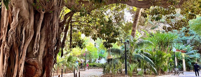 Plaza de Gabriel Miró is one of Alicante.
