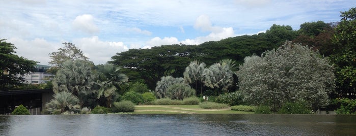 HortPark is one of Ecotourism in Singapore.