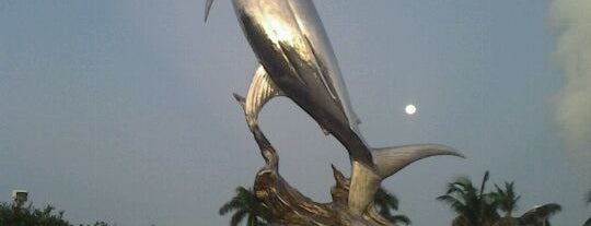 IGFA Fishing Hall of Fame & Museum is one of Best of Greater Fort Lauderdale.