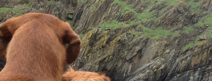 Skellig Michael (Great Skellig) is one of இTwo tickets to Dublinஇ.