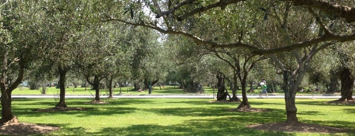 Bosque El Olivar is one of [To-do] Lima.