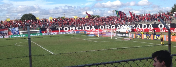 Estádio Presidente Erton Coelho Queiroz (Vila Olímpica) is one of leal.