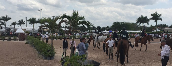 Winter Equestrian Festival is one of Winter 2013.