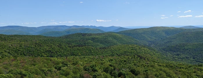 Panther Mountain is one of Catskills.