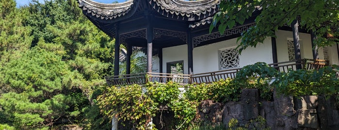 Chinese Scholars' Garden is one of Summer Outdoor Activities in NYC.